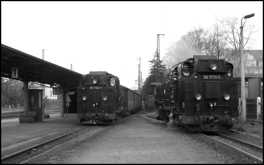  Niels Kunick - Oschatz